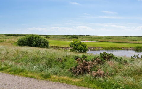 Akim - 2Km from the Sea: Lucht, Groen, Gras, Natuurlijke Omgeving, Grasland, Natuurlijk Landschap, Vegetation, Ecoregio, Wolk