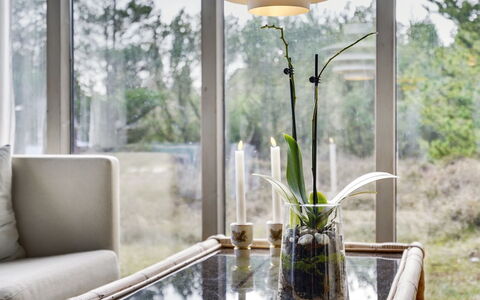 Saxi - 2.6Km from the Sea: Meubilair, Interieur Ontwerp, Stoel, Flooring, Tafel, Toevlucht, Verdieping, Plafond, Kamer, Eco Hotel