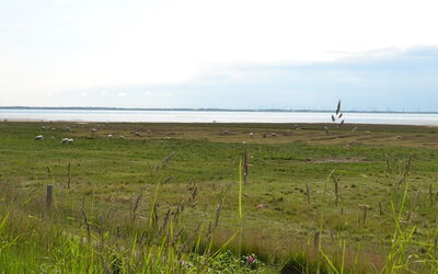 Gertruda - 2.3Km from the Sea