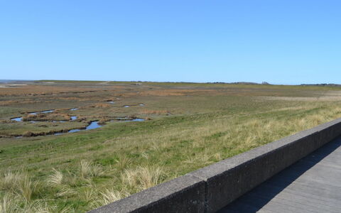 Leto - 2Km from the Sea: Hout, Dak, Architectuur, Huis, Huis, Verblijf, Siding, Hardwood, Helling, Landgoed
