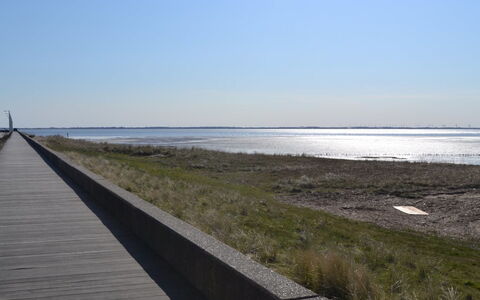 Leto - 2Km from the Sea: Gras, Huis, Dak, Huis, Verblijf, Struik, Land Lot, Landelijk Gebied, Boerderij, Groundcover