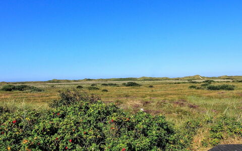 Alim - 300M from the Sea: Verblijf, Schuur, Hut, Boerderij, Prairie, Keet, Schuur, Blokhut, Garden Gebouwen