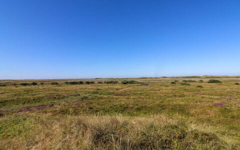 Alim - 300M from the Sea: Verblijf, Schuur, Hut, Boerderij, Prairie, Keet, Schuur, Blokhut, Garden Gebouwen