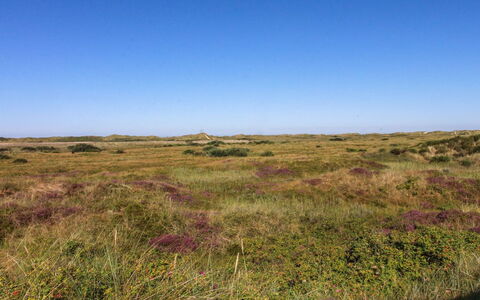Alim - 300M from the Sea: Verblijf, Schuur, Hut, Boerderij, Prairie, Keet, Schuur, Blokhut, Garden Gebouwen