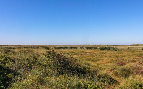 Alim - 300M from the Sea: Verblijf, Schuur, Hut, Boerderij, Prairie, Keet, Schuur, Blokhut, Garden Gebouwen