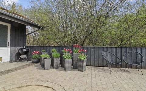 Vieno - 2.6Km from the Sea: Struik, Bloempot, Tuin, Groundcover, Backyard, Werf, Kamerplant, Landscaping, Binnenplaats
