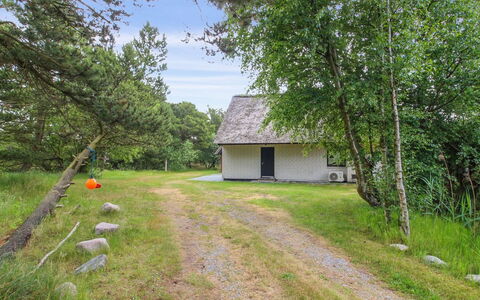 Vendela - 2.5Km from the Sea: Gras, Boom, Grasland, Huis, Verblijf, Land Lot, Landelijk Gebied, Huis, Plain, Weide