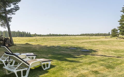 Brunon - 1.5Km from the Sea: Gras, Grasland, Plain, Landschap, Land Lot, Weide, Gazon, Veld, Pasture, Prairie
