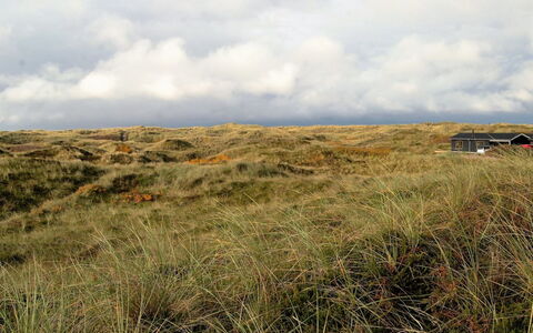Auli - 200M from the Sea: Verblijf, Schuur, Hut, Boerderij, Prairie, Keet, Schuur, Blokhut, Garden Gebouwen