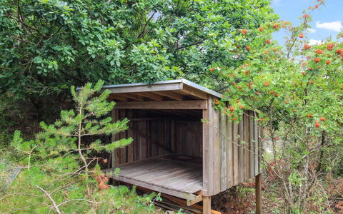 Svenja - 600M from the Sea: Hout, Plantengemeenschap, Ecoregio, Schuur, Woud, Natuurgebied, Trunk, Jungle, Garden Gebouwen, Keet
