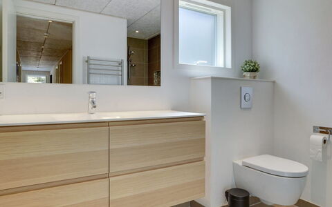 Delan - 1.3Km from the Sea: Badkamer, Flooring, Loodgieterswerkinrichting, Wastafel In De Badkamer, Verdieping, Interieur Ontwerp, Badkamerkast, Wastafel, Toilet, Loodgieter