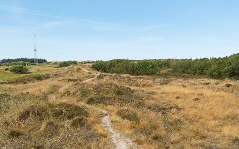 Reiko - 1.5Km from the Sea: Lucht, Gras, Natuurlijke Omgeving, Grasland, Vegetation, Ecoregio, Horizon, Plantengemeenschap, Wildernis, Land Lot