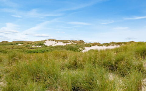 Nicolaus - from the Sea: Gras, Huis, Dak, Huis, Verblijf, Struik, Land Lot, Landelijk Gebied, Boerderij, Groundcover