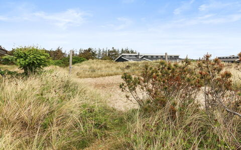 Svenne - 500M from the Sea: Plantengemeenschap, Zonlicht, Kruidachtige Plant, Tuin, Plantage, Landbouw, Boerderij