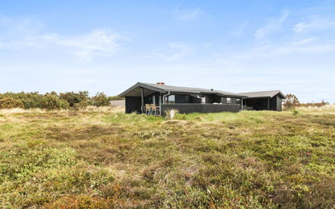 Svenne - 500M from the Sea: Plantengemeenschap, Zonlicht, Kruidachtige Plant, Tuin, Plantage, Landbouw, Boerderij