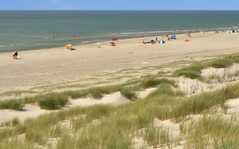 Katha - from the Sea: Struik, Stedelijk Ontwerp, Groundcover, Steen, Appartement, Landgoed, Metselwerk, Balkon, Landscaping