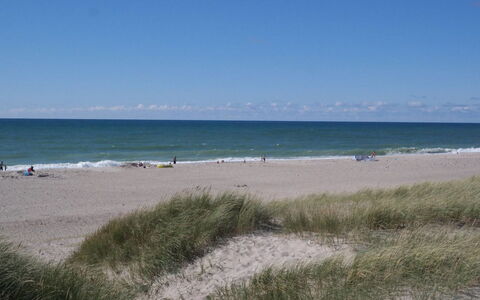 Iines - 200M from the Sea: Blauw, Strand, Zwemwater, Kust, Natuurlijke Omgeving, Horizon, Kust En Oceanic Landvormen, Zee, Kust