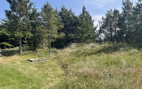 Felicia - 800M from the Sea: Gras, Boom, Natuurlijke Omgeving, Vegetation, Grasland, Struik, Plantengemeenschap, Land Lot, Plain, Pasture