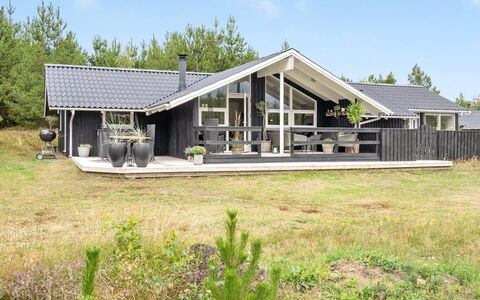 Elayne - 3Km from the Sea: Plantengemeenschap, Zonlicht, Kruidachtige Plant, Tuin, Plantage, Landbouw, Boerderij