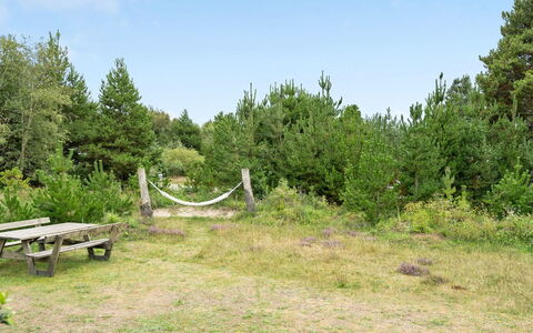 Elayne - 3Km from the Sea: Plantengemeenschap, Zonlicht, Kruidachtige Plant, Tuin, Plantage, Landbouw, Boerderij