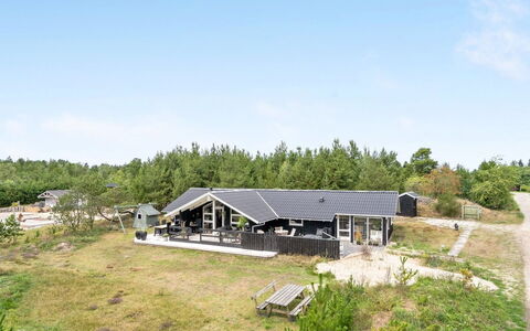 Elayne - 3Km from the Sea: Plantengemeenschap, Zonlicht, Kruidachtige Plant, Tuin, Plantage, Landbouw, Boerderij