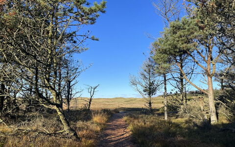 Nilson - 1.4Km from the Sea: Hout, Dak, Huis, Verblijf, Deur, Huis, Siding, Land Lot, Garden Gebouwen, Schuur