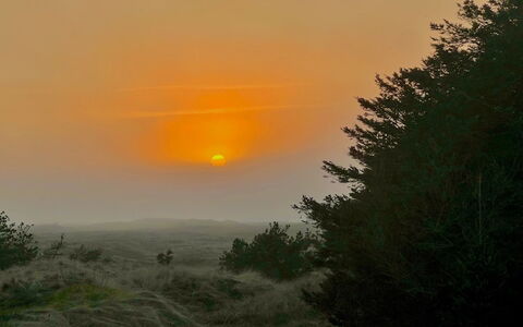 Nilson - 1.4Km from the Sea: Hout, Dak, Huis, Verblijf, Deur, Huis, Siding, Land Lot, Garden Gebouwen, Schuur