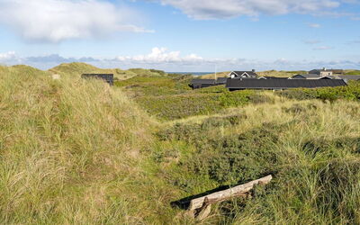 Dana - 290M from the Sea