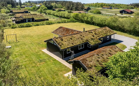 Ricus - 1.8Km from the Sea: Plantengemeenschap, Zonlicht, Kruidachtige Plant, Tuin, Plantage, Landbouw, Boerderij