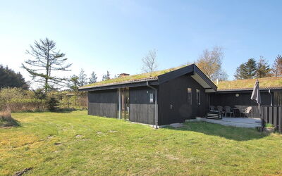 Ayna - 1.3Km from the Sea in Nw Jutland