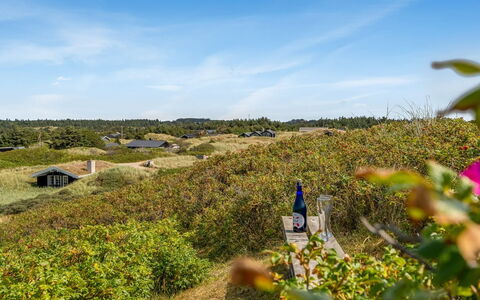 Ejnarine - 300M from the Sea: Lucht, Groen, Vegetation, Struik, Plantengemeenschap, Landschap, Land Lot, Landelijk Gebied, Groundcover