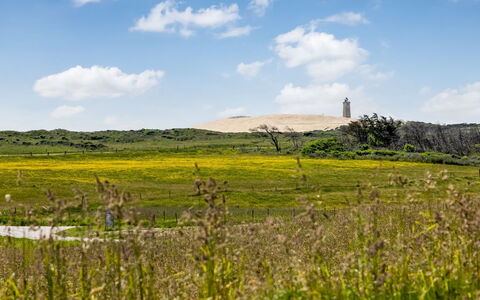 Ger - 200M from the Sea: Lucht, Gras, Groen, Natuurlijke Omgeving, Grasland, Vegetation, Ecoregio, Wolk, Natuurlijk Landschap