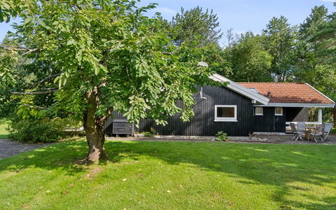Batsha - 350M from the Sea: Afdeling, Struik, Schaduw, Gazon, Tuin, Verblijf, Backyard, Werf, Garden Gebouwen, Landscaping