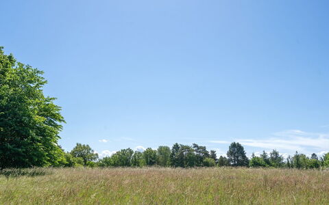 Naira - 1.8Km from the Sea: Hout, Dak, Architectuur, Huis, Huis, Verblijf, Siding, Hardwood, Helling, Landgoed