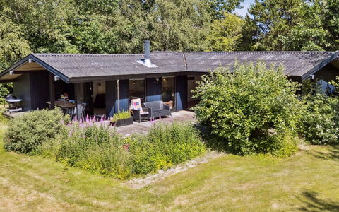 Lasse - 1.5Km from the Sea: Hout, Huis, Verblijf, Huis, Dak, Landelijk Gebied, Siding, Blokhut, Garden Gebouwen, Hardwood