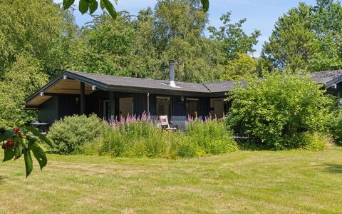 Lasse - 1.5Km from the Sea: Hout, Huis, Verblijf, Huis, Dak, Landelijk Gebied, Siding, Blokhut, Garden Gebouwen, Hardwood