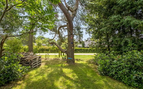 Fatlinda - 1Km from the Sea: Blad, Groen, Boom, Gras, Natuur, Afdeling, Vegetation, Struik, Tuin, Plantengemeenschap