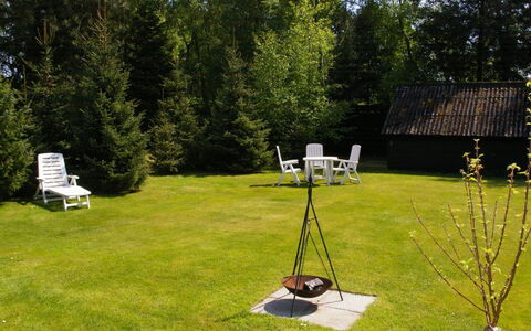 Gyri - 800M from the Sea: Vegetation, Struik, De Lente, Verblijf, Tuin, Schaduw, Backyard, Werf, Stoel