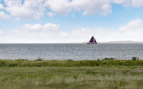 Alexis - 250M from the Sea: Lucht, Boot, Zeilboot, Horizon, Ecoregio, Watercraft, Mast, Zee, Het Zeilen