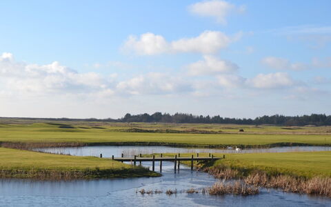 Svava - 2.3Km from the Sea: Water, Watervoorraden, Moeras, Natuurlijke Omgeving, Groen, Natuurlijk Landschap, Grasland, Plain