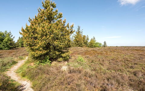 Atti - 2.5Km from the Sea: Thatching, Verblijf, Huis, Dak, Huis, Boerderij, Hut, Landgoed, Dorp
