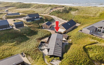 Ayu - 100M from the Sea