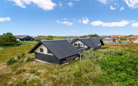 Hildegart - from the Sea: Plantengemeenschap, Zonlicht, Kruidachtige Plant, Tuin, Plantage, Landbouw, Boerderij