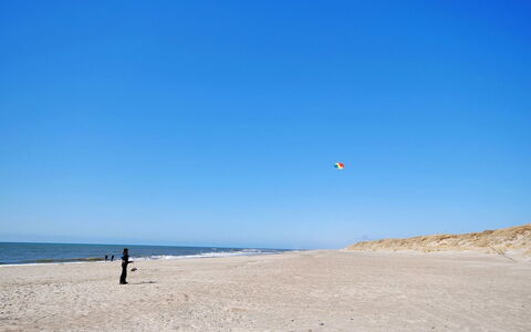 Hildegart - from the Sea: Plantengemeenschap, Zonlicht, Kruidachtige Plant, Tuin, Plantage, Landbouw, Boerderij