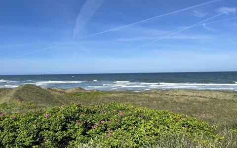 Carelle - 300M from the Sea: Blauw, Water, Zwemwater, Groen, Natuurlijke Omgeving, Kust, Horizon, Zee, Zomer