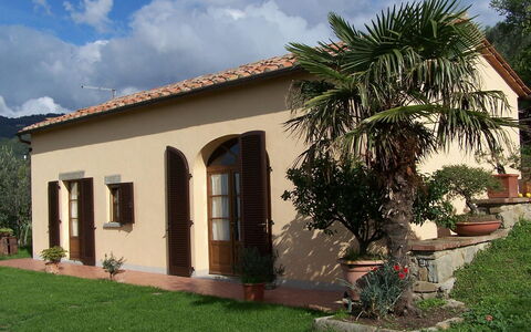 Orangerie Degli Ulivi: Fabriek, Wolk, Lucht, Gebouw, Venster, Huis, Boom, Schaduw, Vegetation