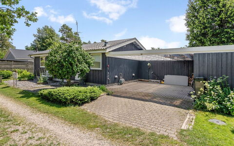 Elva - 150M from the Sea: Huis, Huis, Woongebied, Dak, Verblijf, Groundcover, Tuin, Schaduw, Landgoed, Backyard