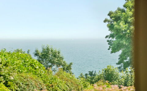 Fridtjof - 100M from the Sea: Groen, Blad, Vegetation, Horizon, Zee, Plantengemeenschap, Oceaan, Kust En Oceanic Landvormen, Kust, Tropen