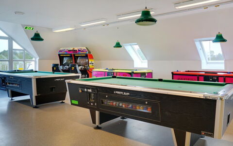 Urmas - 1Km from the Sea: Indoor Games En Sport, Pool, Biljarttafel, Biljartkamer, Recreatie Ruimte, Interieur Ontwerp, Sportuitrusting, Verlichting