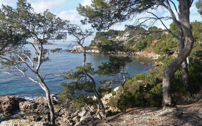 La Calanque D'Or